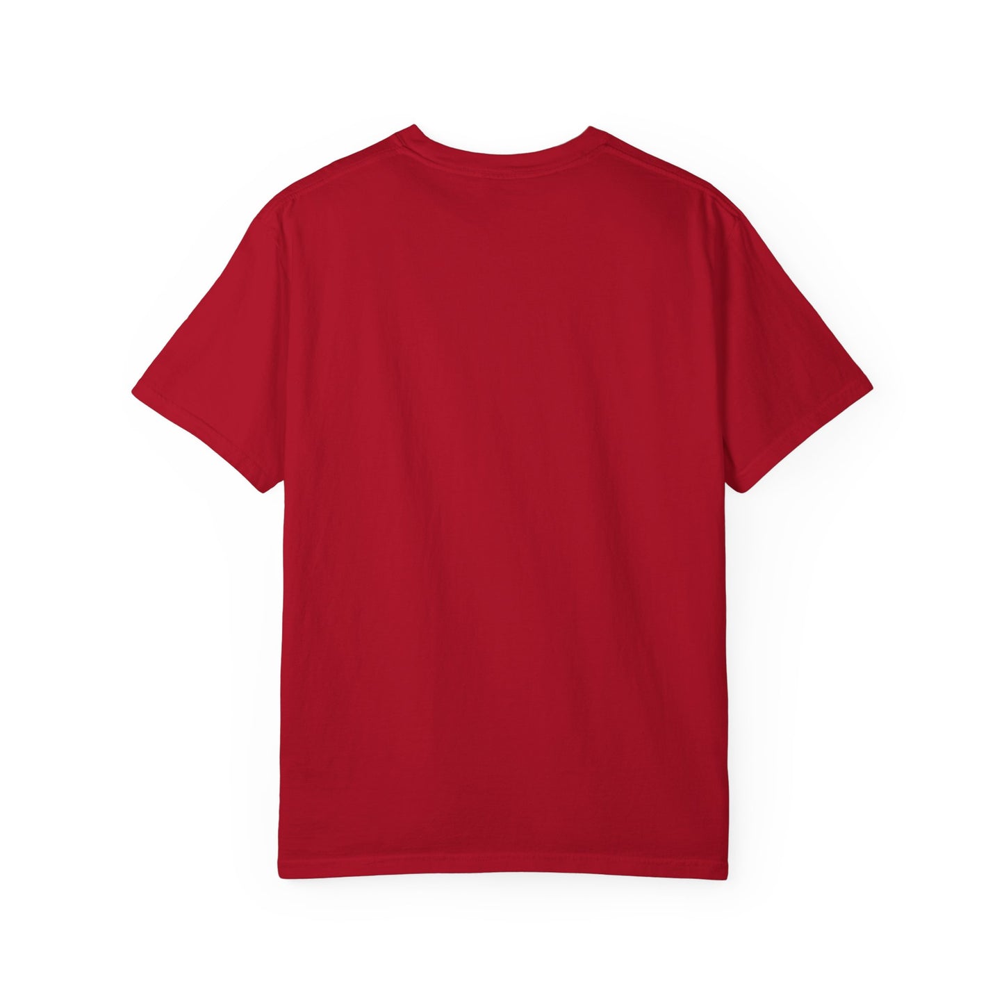 Copy of Jesus Saves Bro T-Shirt | Unisex Garment-Dyed Tee | Faith-Based Apparel, Christian T-Shirt, Casual Wear, Gift for Friends